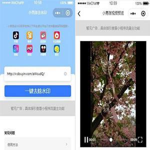 抖音去水印小程序源码独立版_无后台